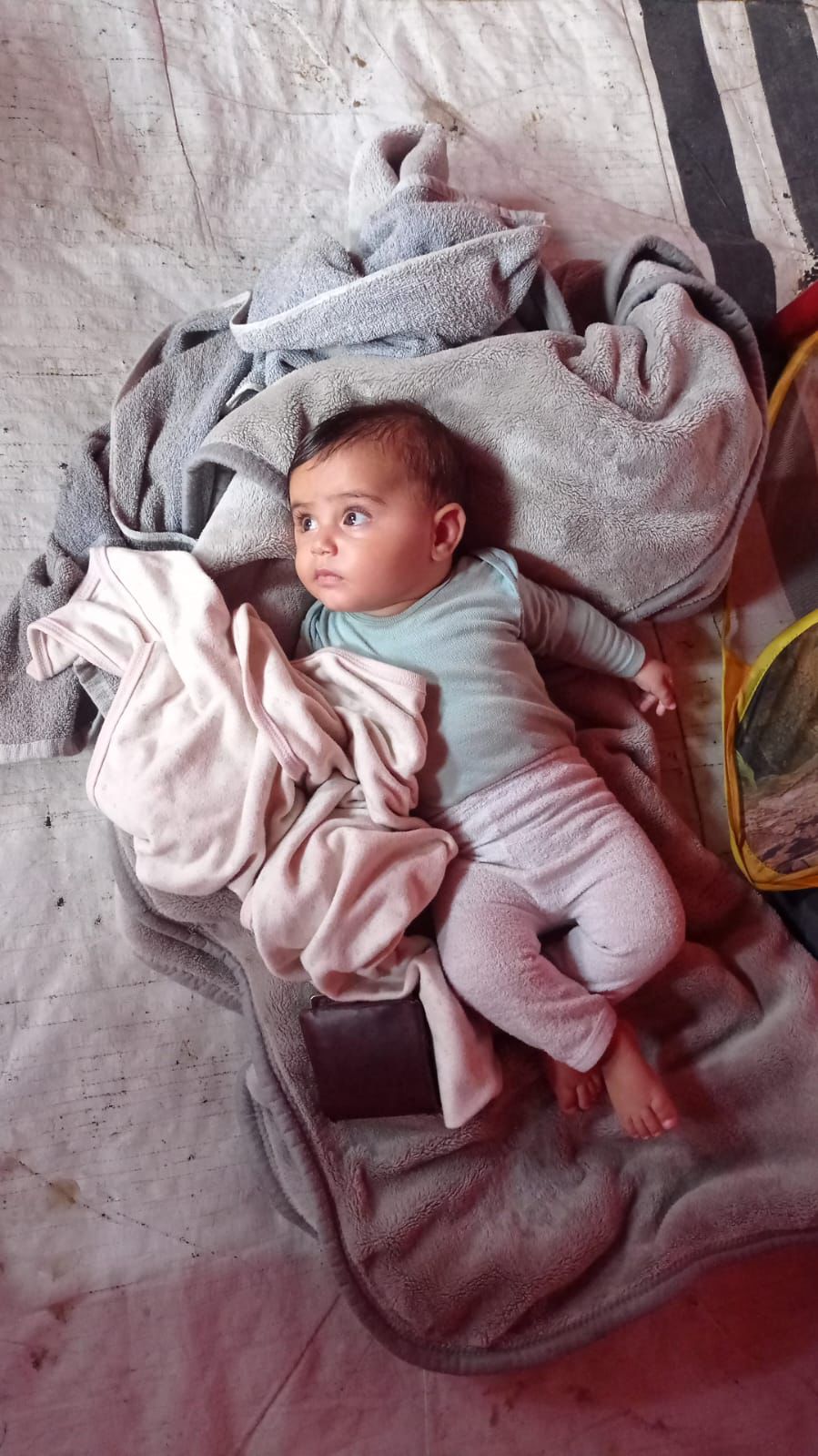 Destroyed homes in Gaza